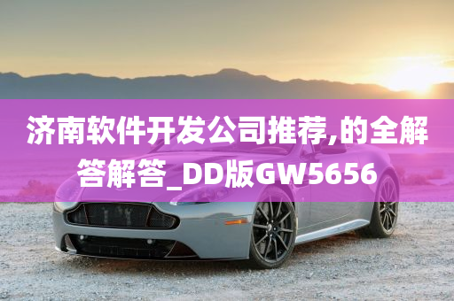 济南软件开发公司推荐,的全解答解答_DD版GW5656