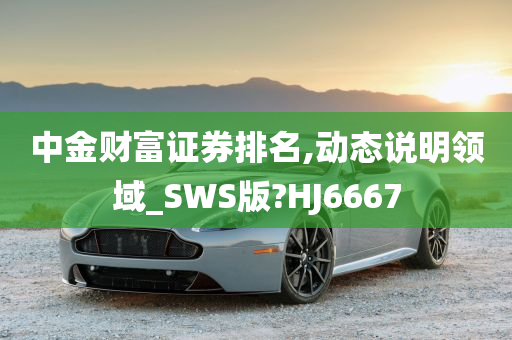 中金财富证券排名,动态说明领域_SWS版?HJ6667