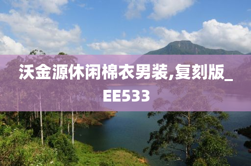 沃金源休闲棉衣男装,复刻版_EE533