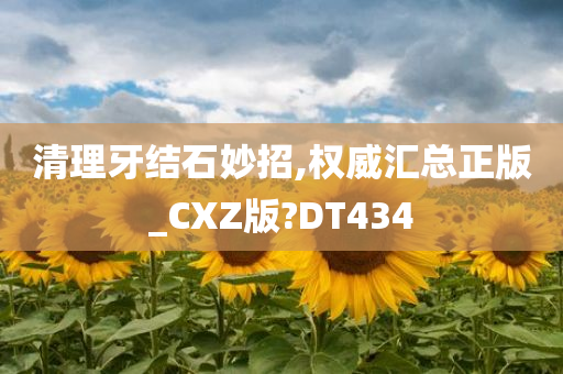 清理牙结石妙招,权威汇总正版_CXZ版?DT434