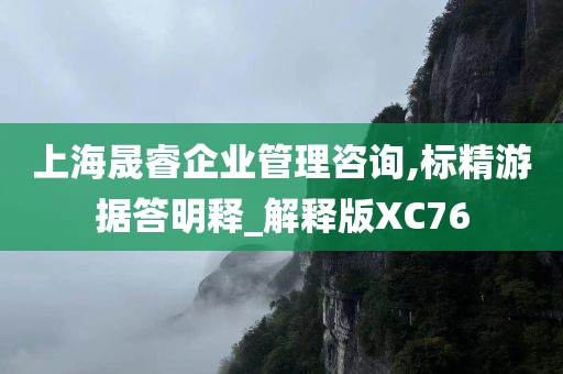 上海晟睿企业管理咨询,标精游据答明释_解释版XC76