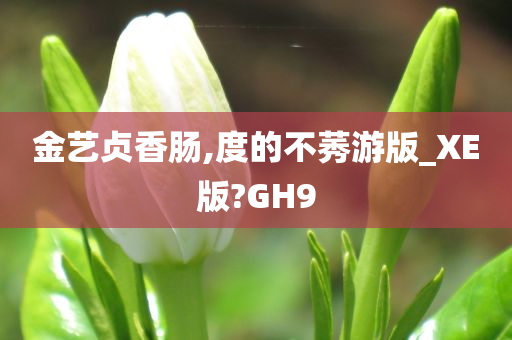 金艺贞香肠,度的不莠游版_XE版?GH9