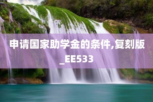 申请国家助学金的条件,复刻版_EE533