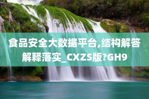 食品安全大数据平台,结构解答解释落实_CXZS版?GH9