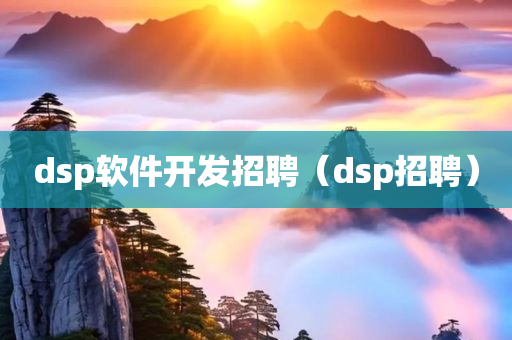 dsp软件开发招聘（dsp招聘）