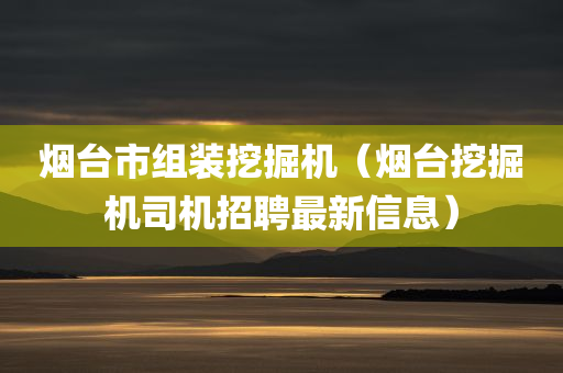 烟台市组装挖掘机（烟台挖掘机司机招聘最新信息）