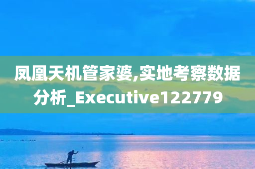 凤凰天机管家婆,实地考察数据分析_Executive122779