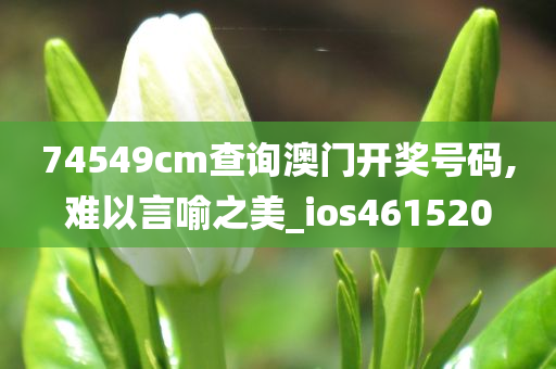 74549cm查询澳门开奖号码,难以言喻之美_ios461520