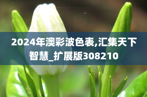 2024年澳彩波色表,汇集天下智慧_扩展版308210