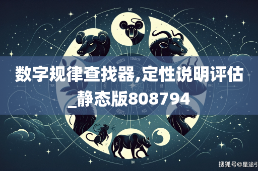 数字规律查找器,定性说明评估_静态版808794