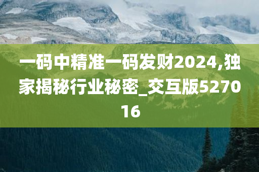 一码中精准一码发财2024,独家揭秘行业秘密_交互版527016