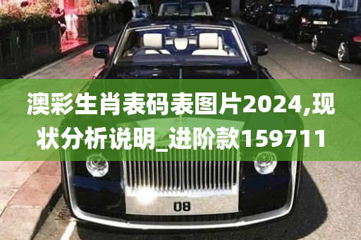 澳彩生肖表码表图片2024,现状分析说明_进阶款159711