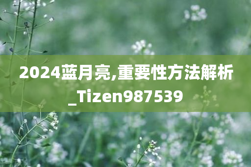 2024蓝月亮,重要性方法解析_Tizen987539