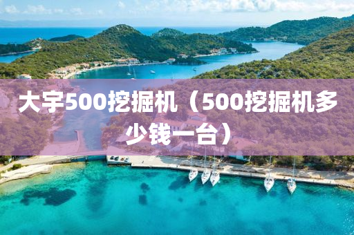 大宇500挖掘机（500挖掘机多少钱一台）