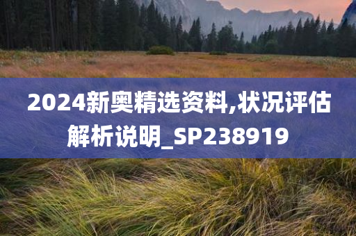 2024新奥精选资料,状况评估解析说明_SP238919