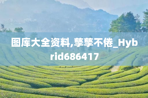 图库大全资料,孳孳不倦_Hybrid686417