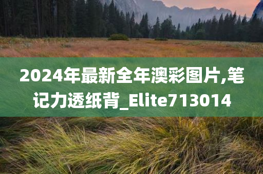 2024年最新全年澳彩图片,笔记力透纸背_Elite713014