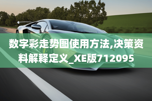 数字彩走势图使用方法,决策资料解释定义_XE版712095