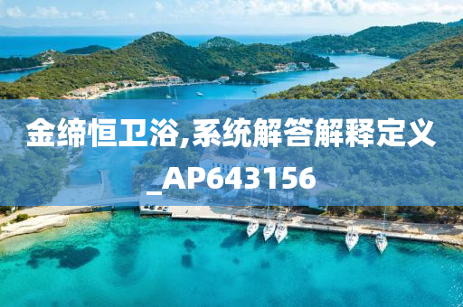 金缔恒卫浴,系统解答解释定义_AP643156