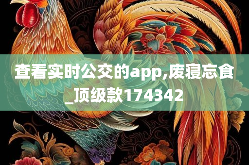 查看实时公交的app,废寝忘食_顶级款174342