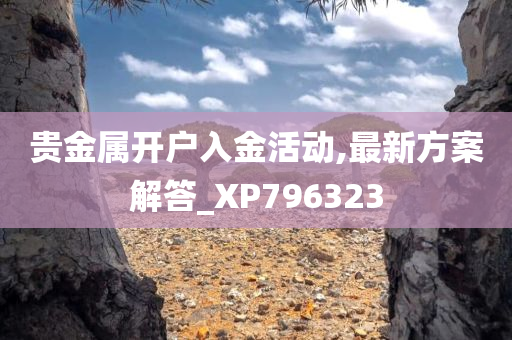 贵金属开户入金活动,最新方案解答_XP796323