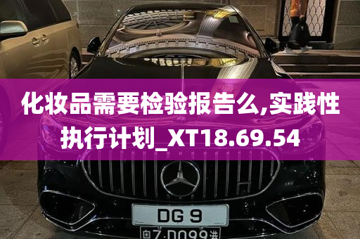 化妆品需要检验报告么,实践性执行计划_XT18.69.54