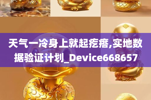 天气一冷身上就起疙瘩,实地数据验证计划_Device668657