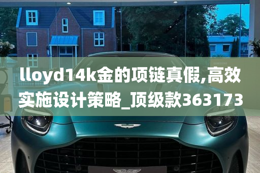 lloyd14k金的项链真假,高效实施设计策略_顶级款363173