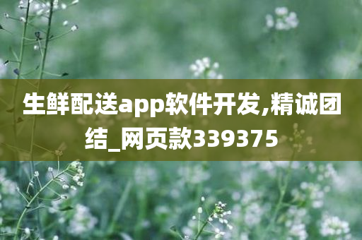 生鲜配送app软件开发,精诚团结_网页款339375