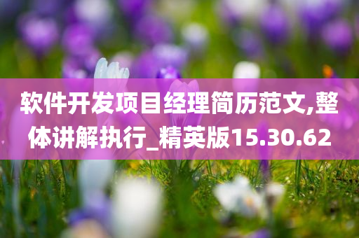 软件开发项目经理简历范文,整体讲解执行_精英版15.30.62