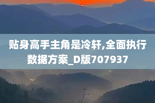 贴身高手主角是冷轩,全面执行数据方案_D版707937