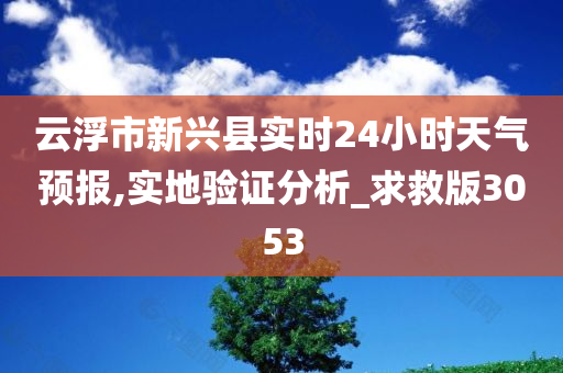 云浮市新兴县实时24小时天气预报,实地验证分析_求救版3053