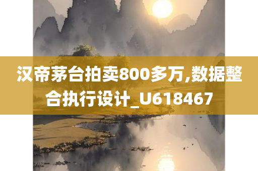 汉帝茅台拍卖800多万,数据整合执行设计_U618467