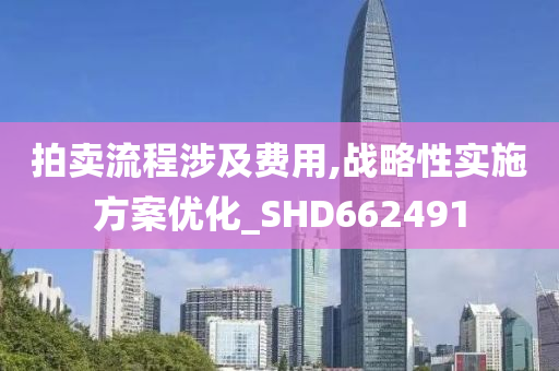 拍卖流程涉及费用,战略性实施方案优化_SHD662491