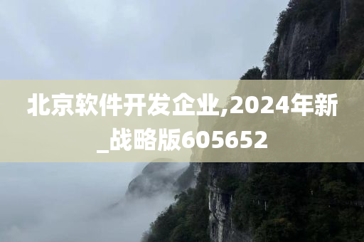 北京软件开发企业,2024年新_战略版605652