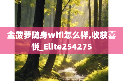 金菠萝随身wifi怎么样,收获喜悦_Elite254275