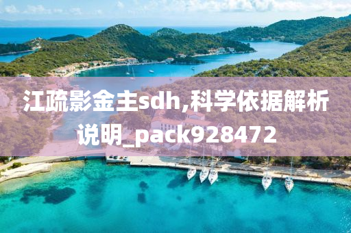 江疏影金主sdh,科学依据解析说明_pack928472