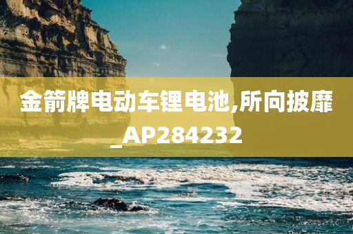 金箭牌电动车锂电池,所向披靡_AP284232