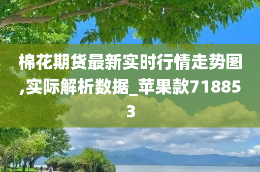 棉花期货最新实时行情走势图,实际解析数据_苹果款718853