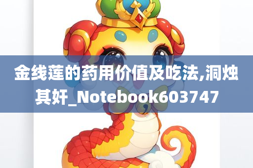 金线莲的药用价值及吃法,洞烛其奸_Notebook603747