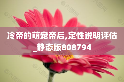 冷帝的萌宠帝后,定性说明评估_静态版808794