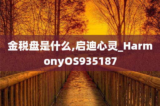 金税盘是什么,启迪心灵_HarmonyOS935187