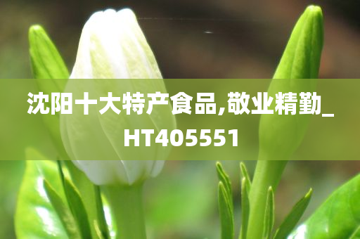 沈阳十大特产食品,敬业精勤_HT405551