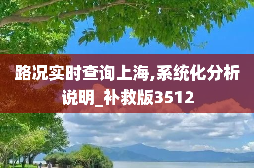 路况实时查询上海,系统化分析说明_补救版3512