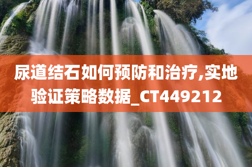 尿道结石如何预防和治疗,实地验证策略数据_CT449212