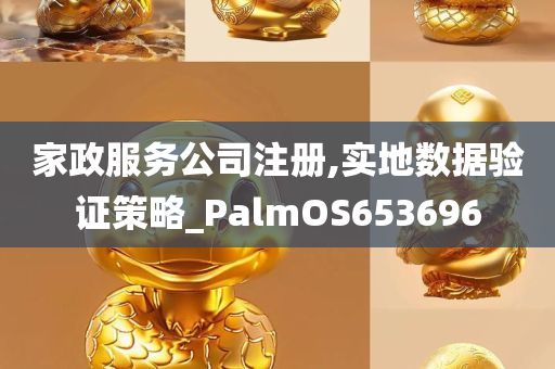 家政服务公司注册,实地数据验证策略_PalmOS653696