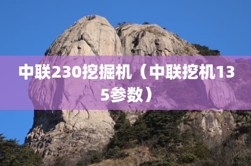 中联230挖掘机（中联挖机135参数）