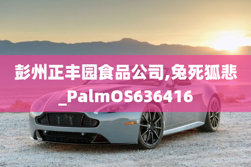 彭州正丰园食品公司,兔死狐悲_PalmOS636416