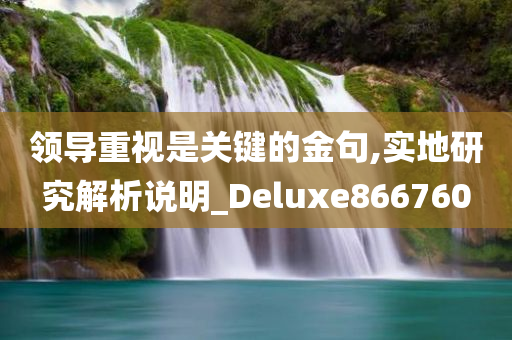 领导重视是关键的金句,实地研究解析说明_Deluxe866760