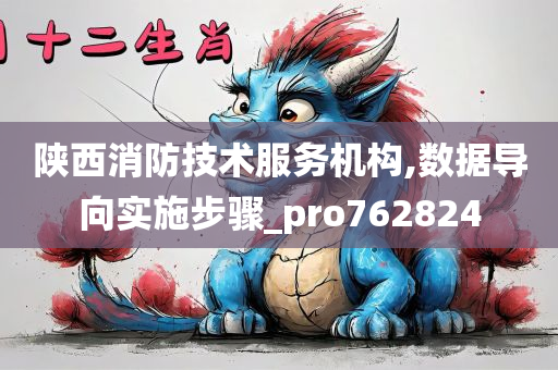 陕西消防技术服务机构,数据导向实施步骤_pro762824